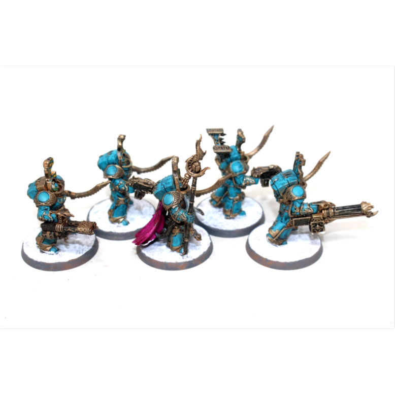 Warhammer Thousand Sons Occult Terminators Well Painted JYS63