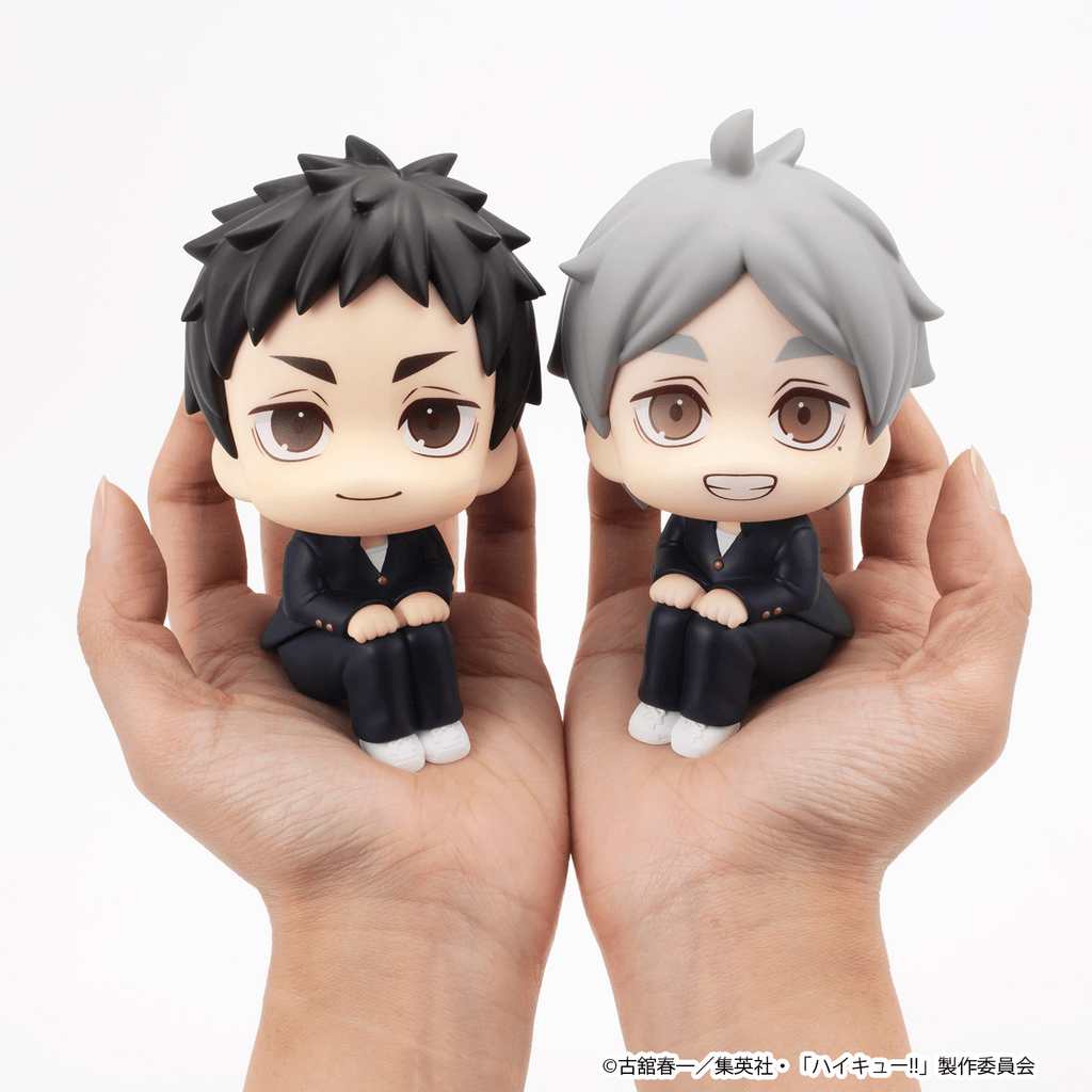 Lookup Haikyu!! Daichi Sawamura &amp; Koushi Sugawara set 【with gift】