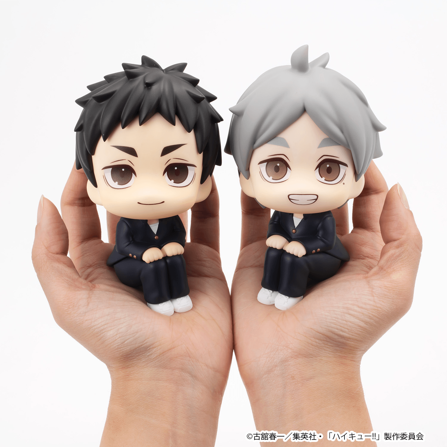 Lookup Haikyu!! Daichi Sawamura &amp; Koushi Sugawara set 【with gift】