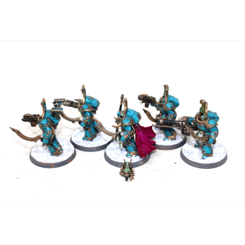 Warhammer Thousand Sons Occult Terminators Well Painted JYS64