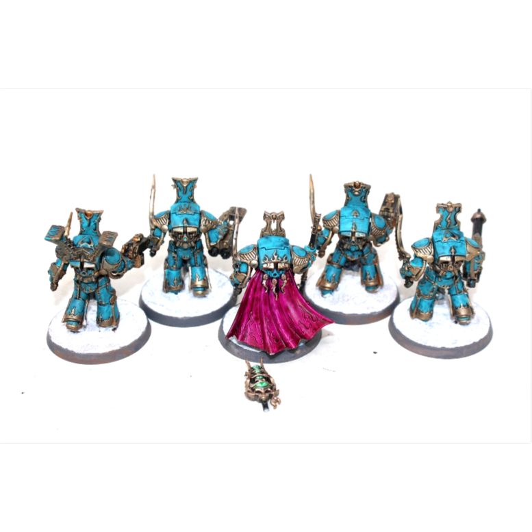 Warhammer Thousand Sons Occult Terminators Well Painted JYS64