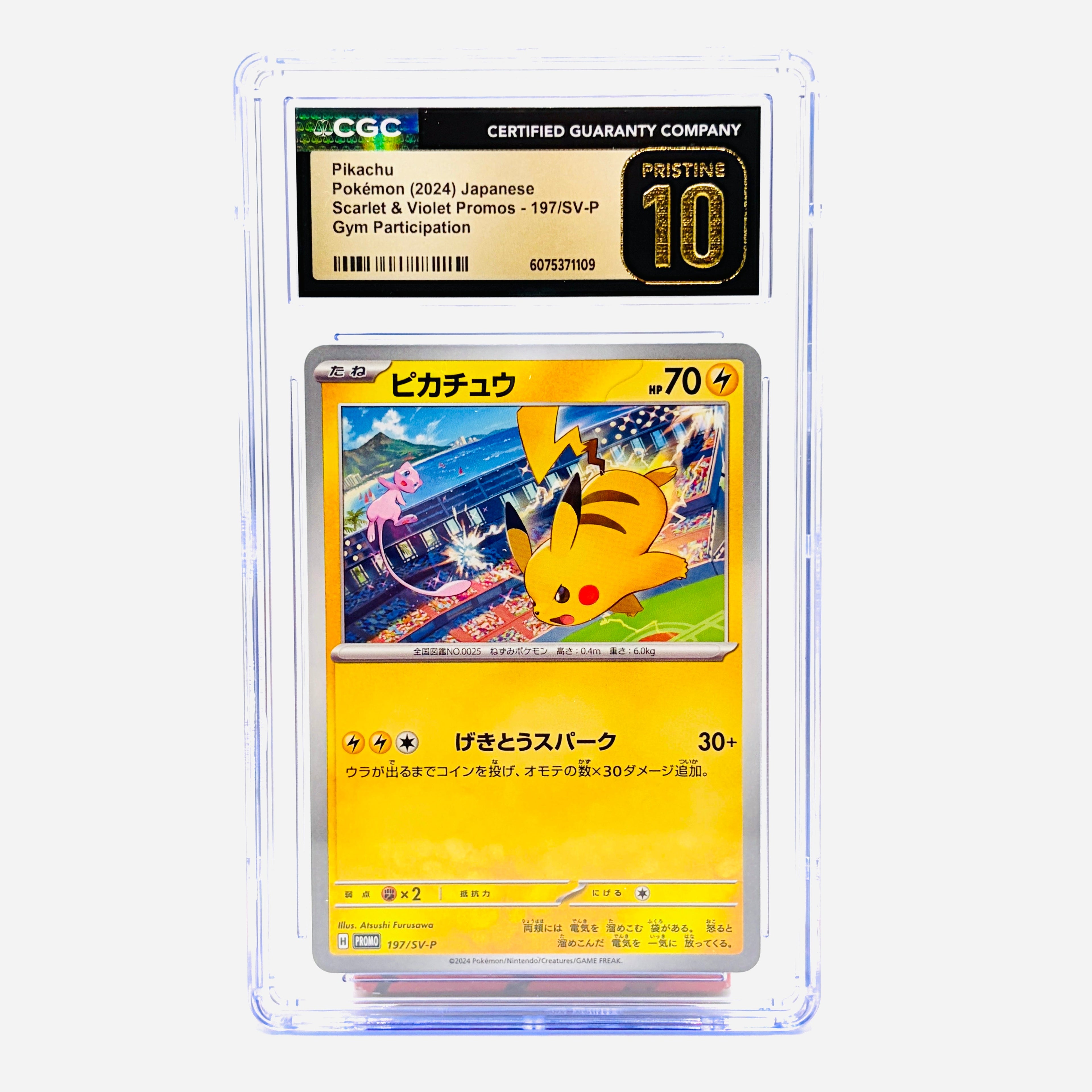 CGC Pristine 10 Pikachu Gym Participation - 2024 Japanese Pokemon Scarlet & Violet Promo