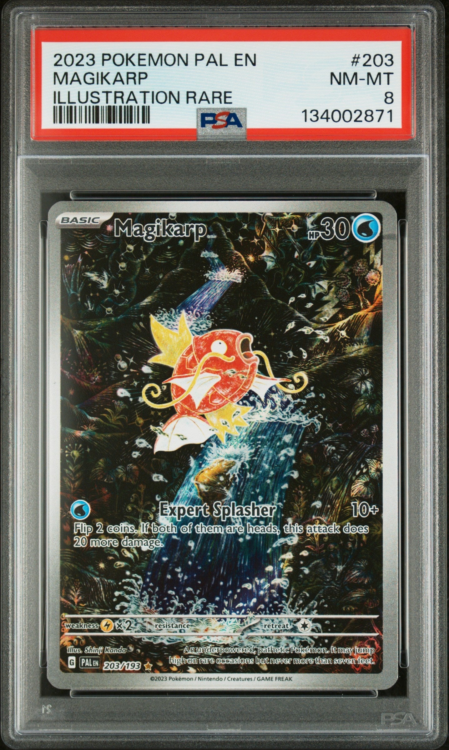 PSA NM-MT 8 Magikarp(203/193) [Pal En-Paldea Evolved] - 134002871