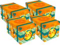 Pokemon Paldea Adventures Chest Sealed Case