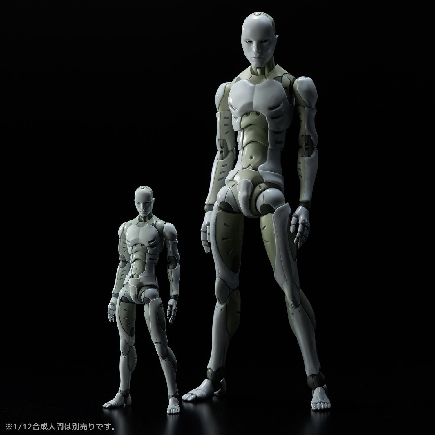 TOA Heavy Industries TOA Heavy Industries Synthetic Human 1/6 Action Figure