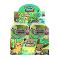 Pokémon Kanto Friends Mini Tin Display