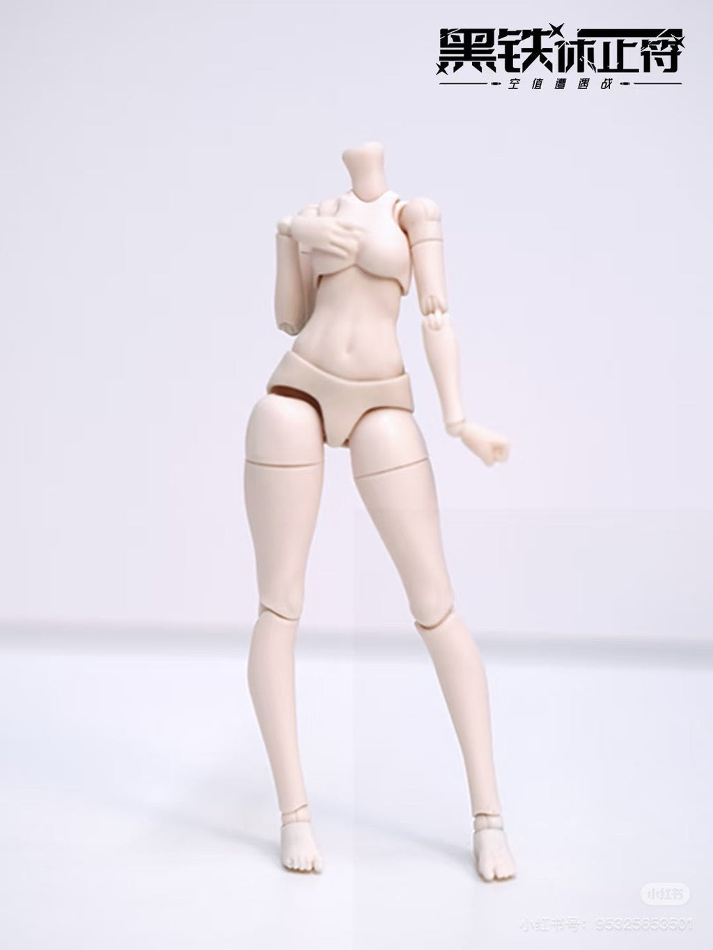 Neo Eden Toys Hei Tie Xiu Zhi Fu Series Doll Special Design Polaris JAPAN