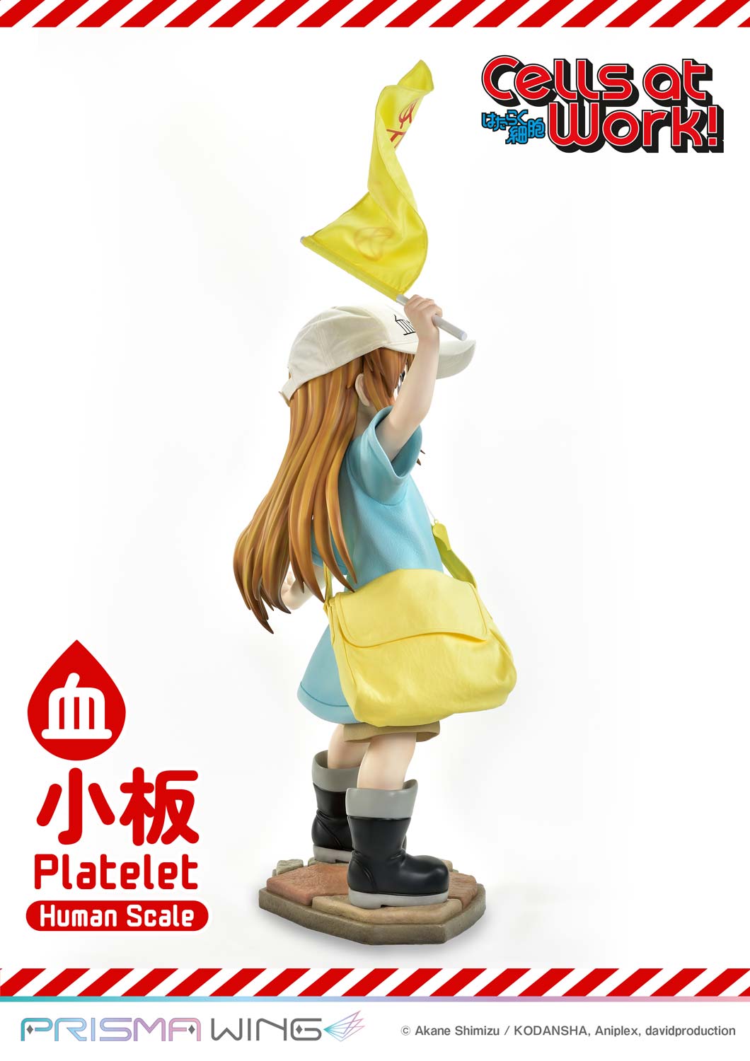 Life Scale Masterline Cells at Work Platelet