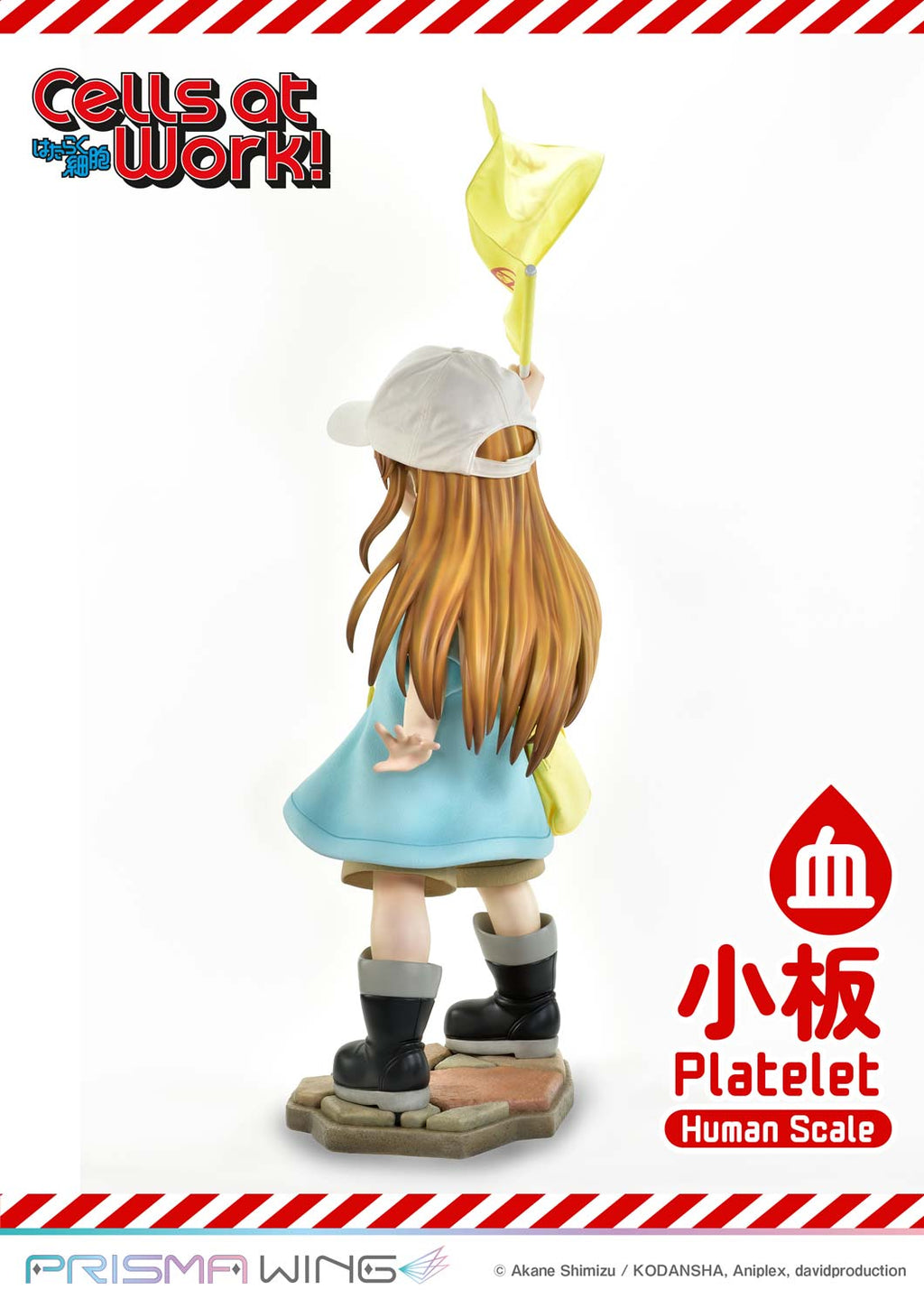 Life Scale Masterline Cells at Work Platelet