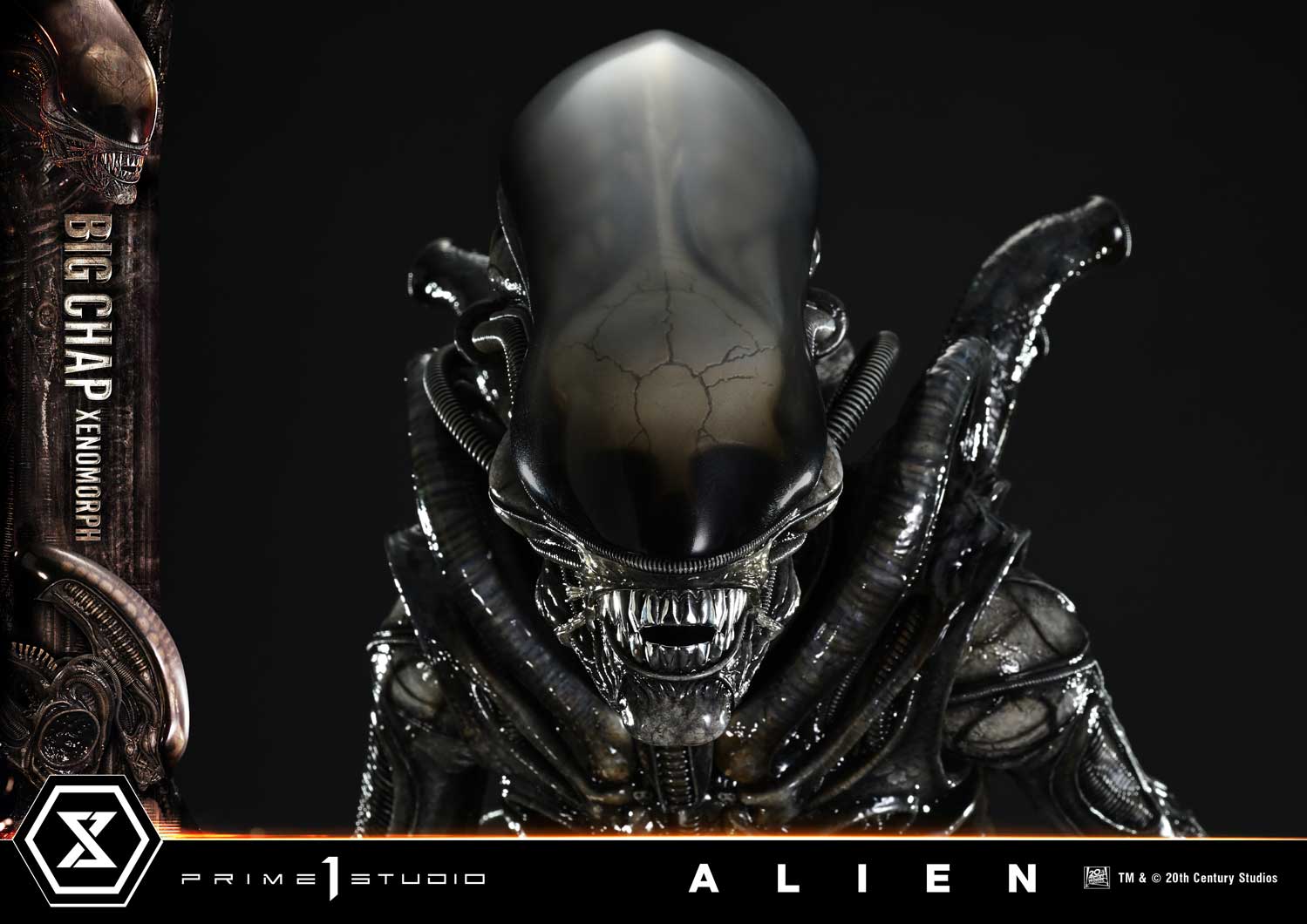 Museum Masterline XL Alien (Film) Big Chap Xenomorph Regular Ver.