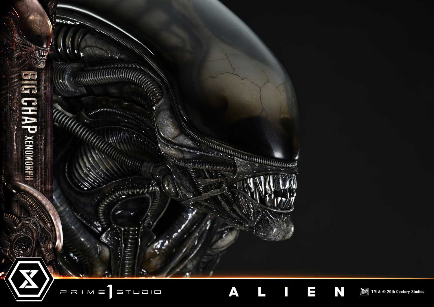 Museum Masterline XL Alien (Film) Big Chap Xenomorph Regular Ver.