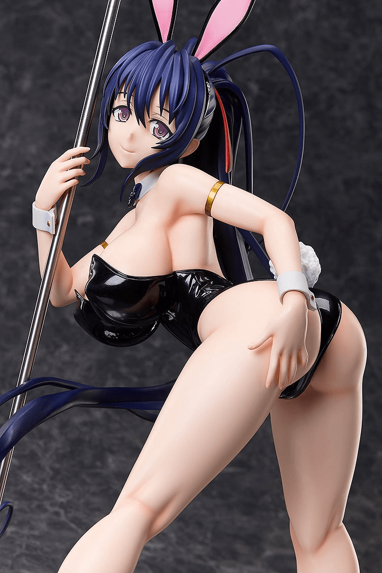 Akeno Himejima: Bare Leg Bunny Ver. 2nd