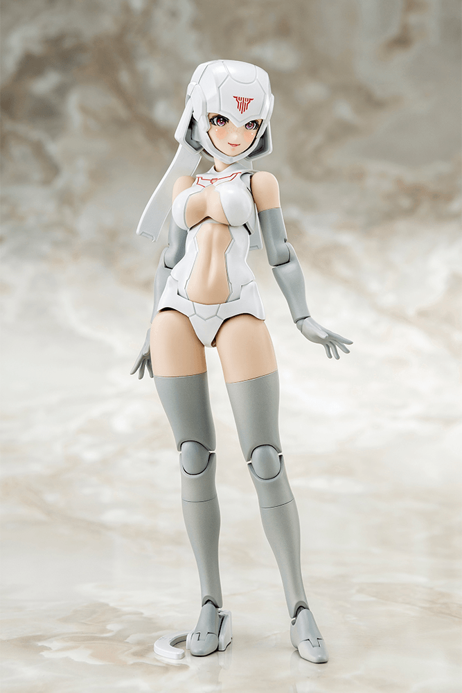B1R-L CHASSIS KIT SKIN COLOR A