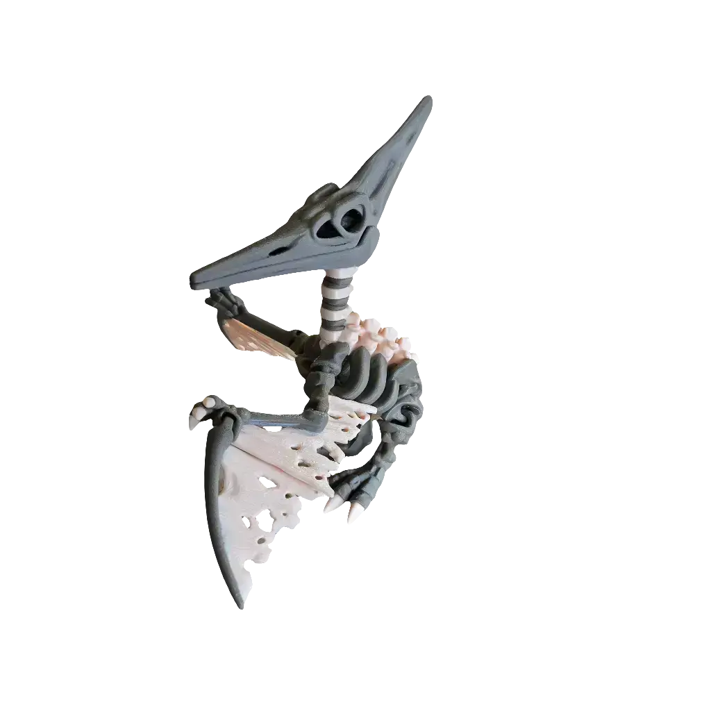 Articulated Skeleton Pterodactyl (Mega)