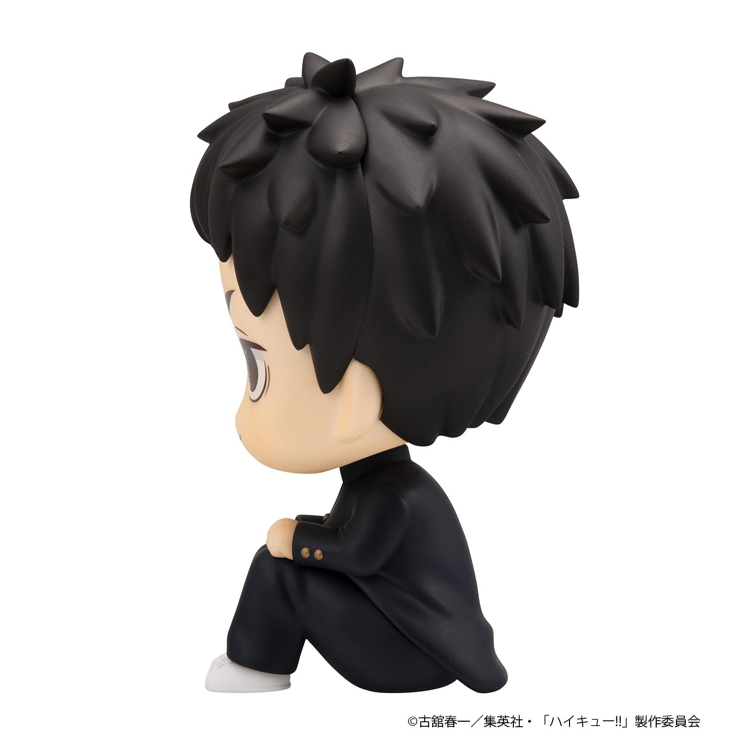 Lookup Haikyu!! Daichi Sawamura &amp; Koushi Sugawara set 【with gift】