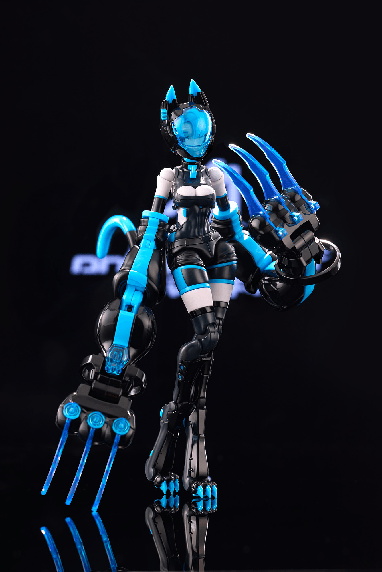 Anima Circuit – Sora the Cat SP
