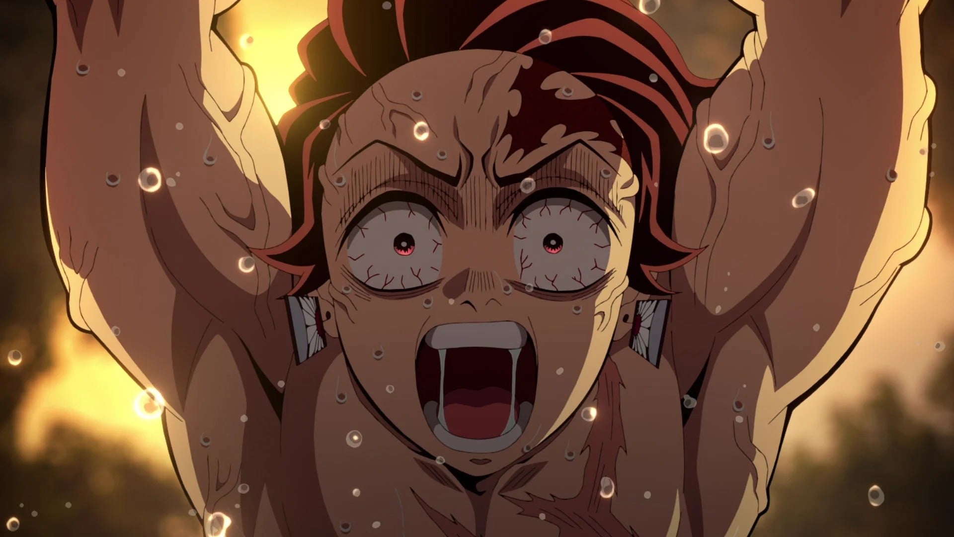 Demon Slayer: Kimetsu no Yaiba Hashira Training Arc Limited Edition [Blu-Ray Box Set]