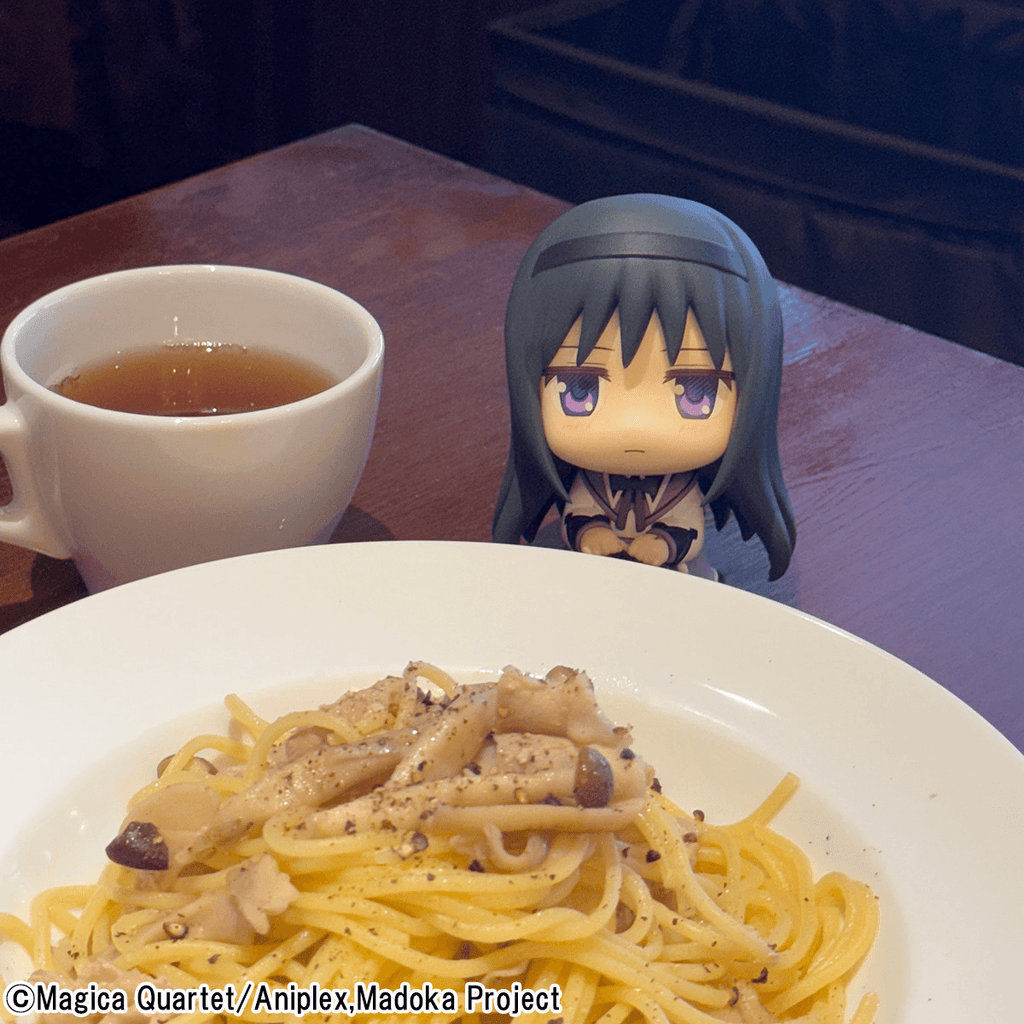 Lookup Puella Magi Madoka Magica Madoka Kaname &amp; Homura Akemi set 【with gift】