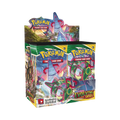 Evolving Skies Booster Box