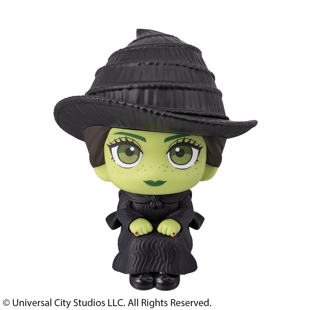 Lookup WICKED Elphaba &amp; Glinda set【with gift】