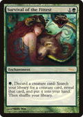 Survival of the Fittest - Judge Promos