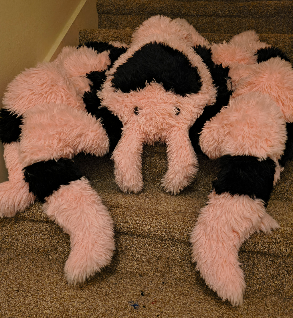 Love Tarantula