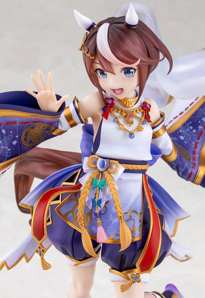 Shiun no Yumemitori Tokai Teio