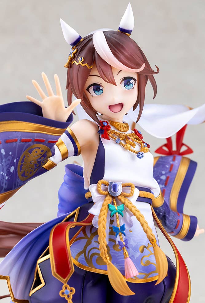 Shiun no Yumemitori Tokai Teio