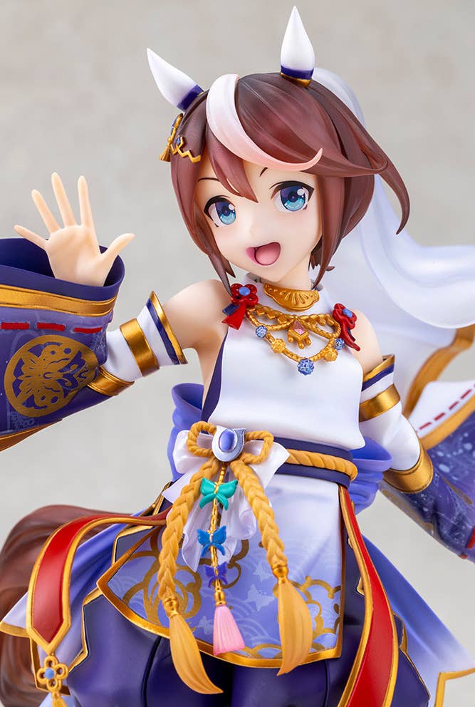 Shiun no Yumemitori Tokai Teio