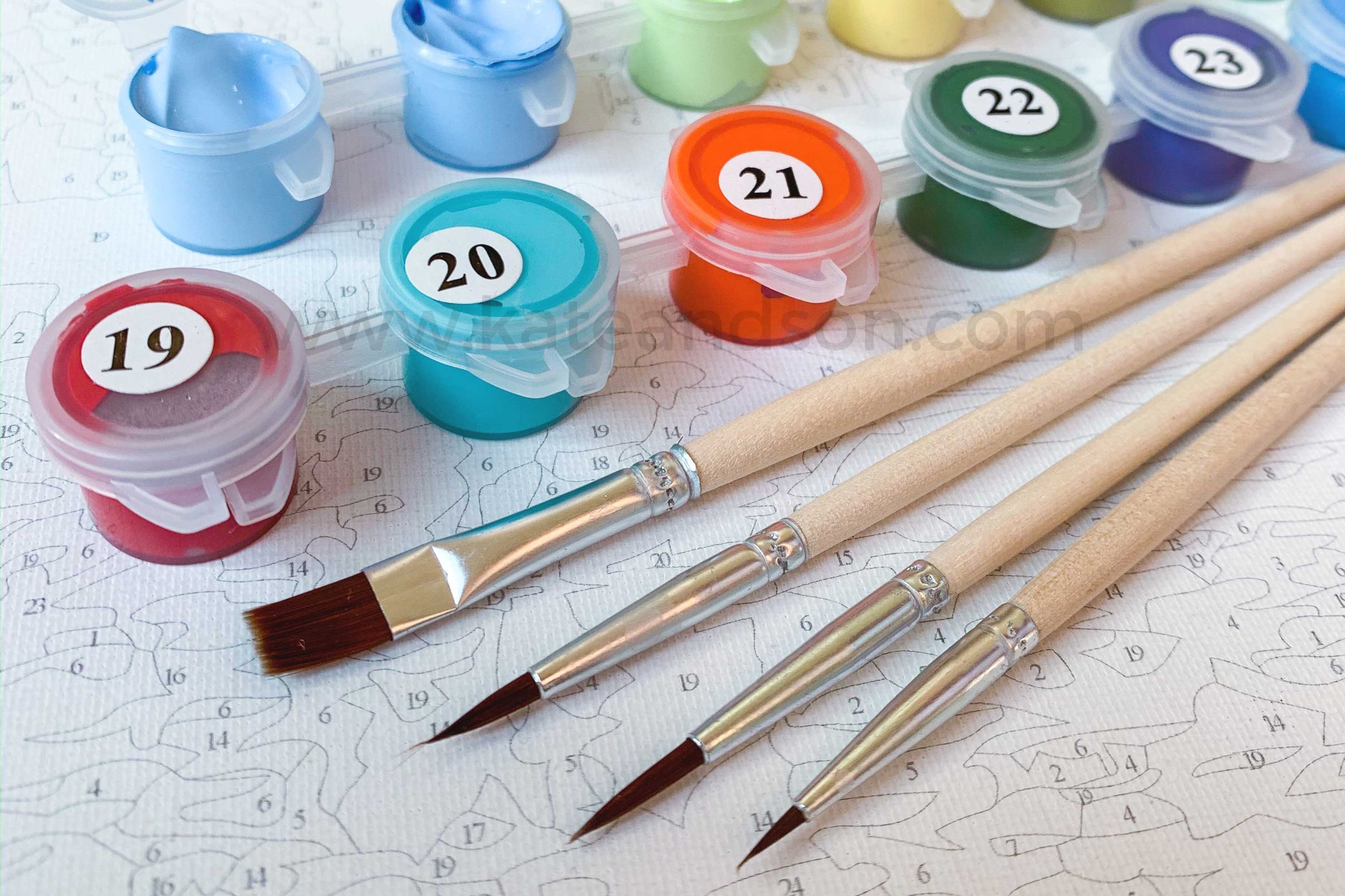 Monthly Paint-by-Numbers Kit For Adults