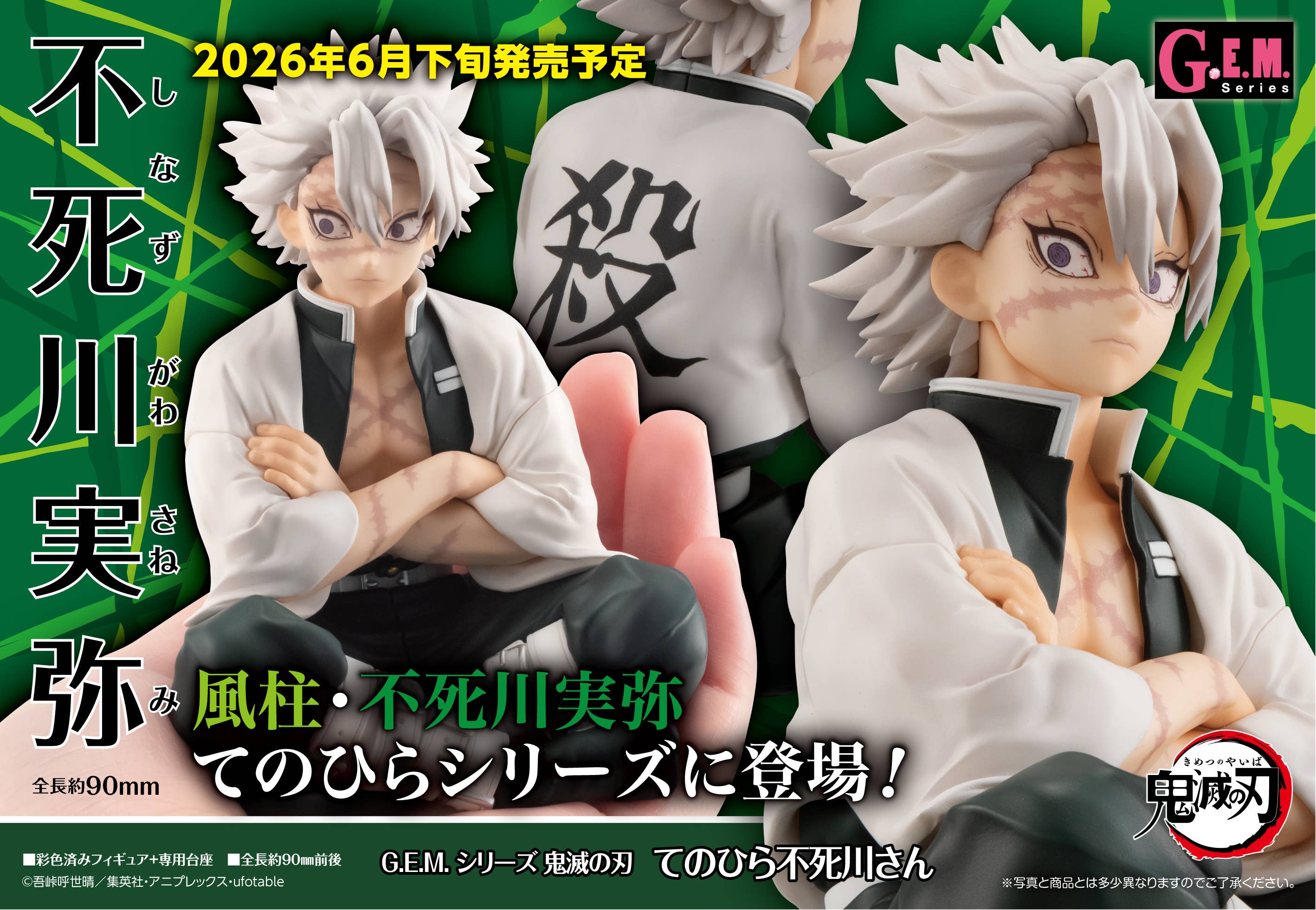 G.E.M. Series Demon Slayer：Kimetsu no Yaiba Palm size Shinazugawa-san（Repeat）
