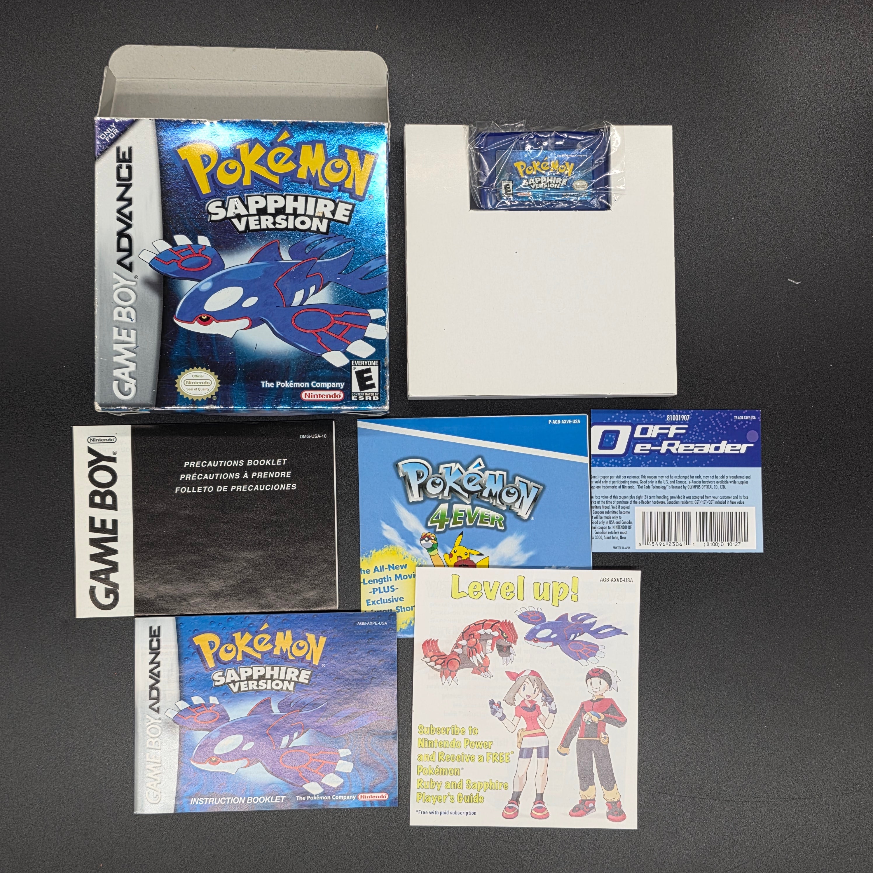 Pokemon Ruby: Complete - Nintendo Game Boy Advance